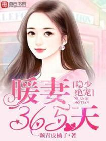 隐少绝宠:暖妻365天